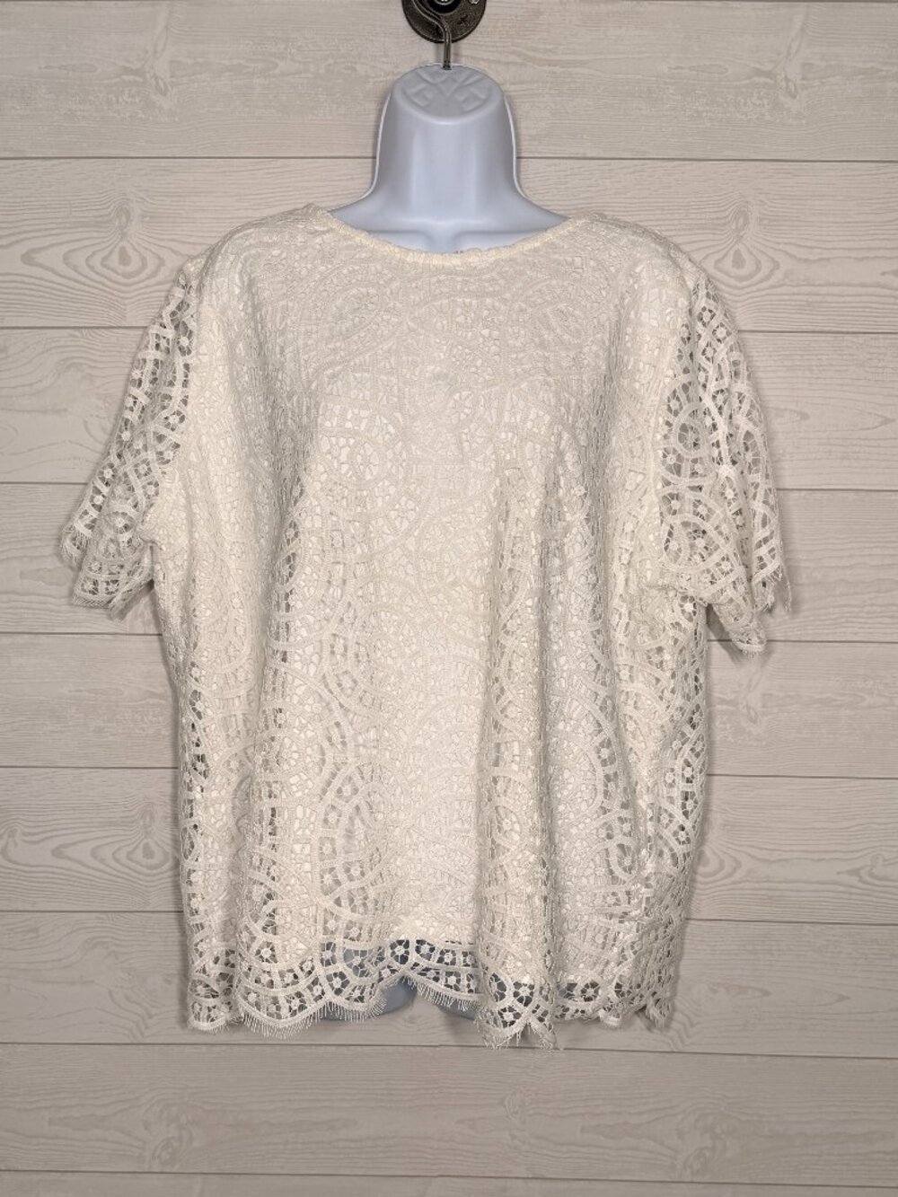 Philosophy Republic Clothing NWT White Lace Blouse Top XXL